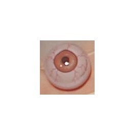 Gliding Eyeball Glow 1.5in.