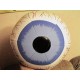 Inflatable Eyeball 8in.